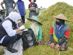 NTP Jatim Mengalami Kenaikan, Khofifah Berharap Kesejahteraan Petani Meningkat